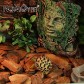 Organic Bark Chips Expandable Substrate Block for Reptiles, Snakes, Tortoise, and Amphibians, Natural Fiber Free Husks, Clean Breeding 650g